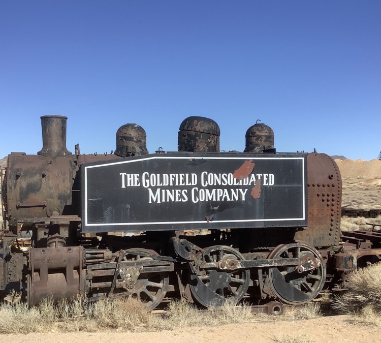 Goldfield Visitor